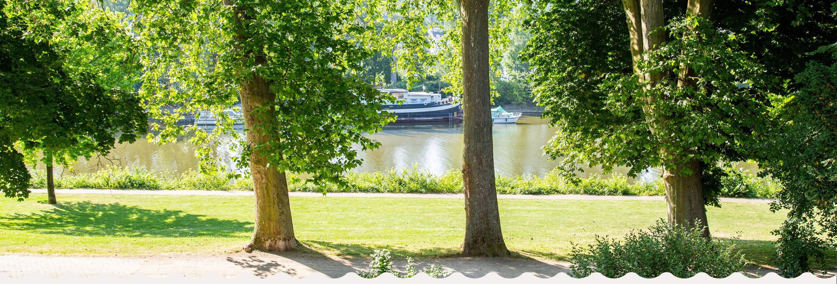 Blick aus dem Rheinkult-Studio in Koblenz auf Platanen, das Rheinufer und ein Schiff.